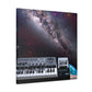 Relay Switch - Canvas